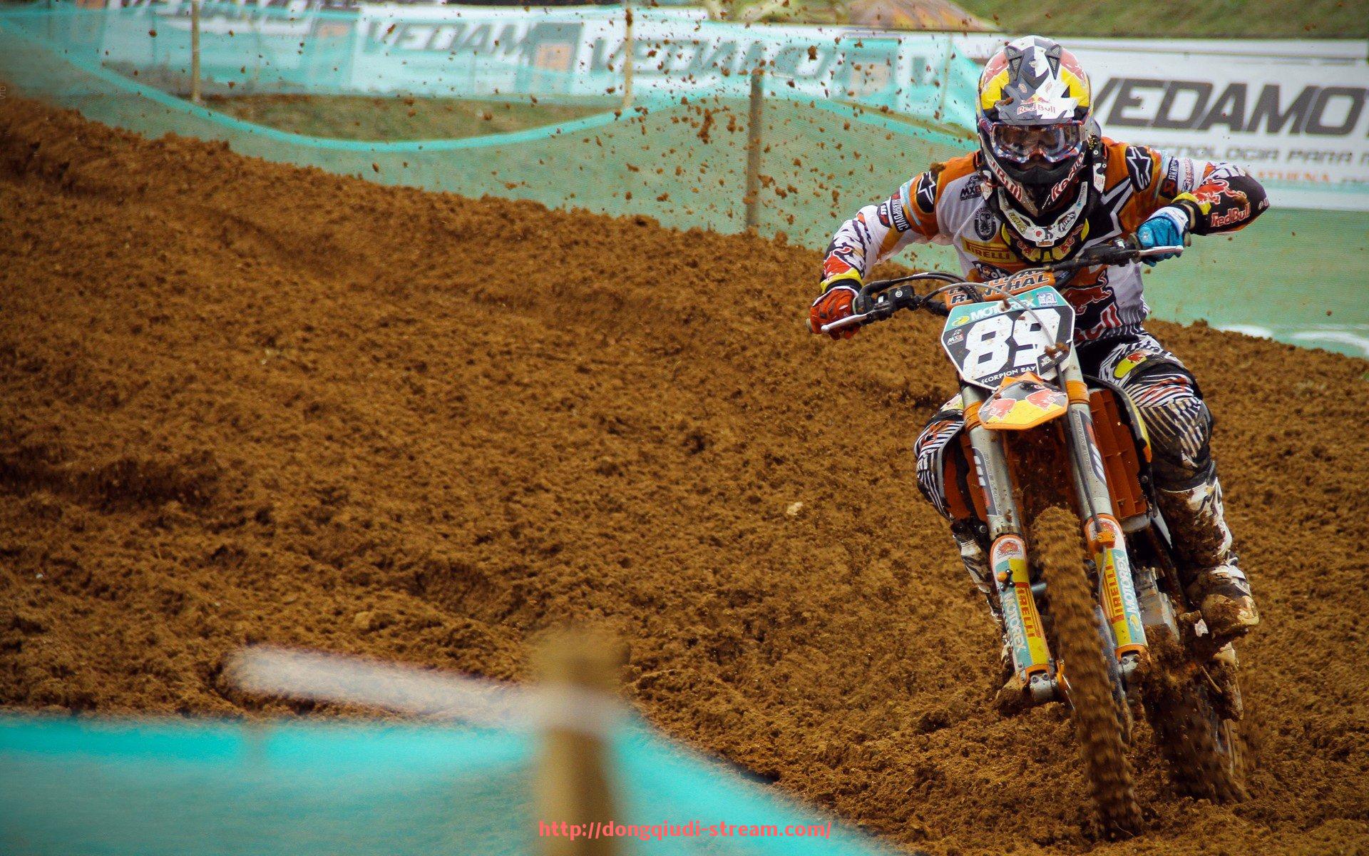 懂球帝直播-球员红黄牌统计数据：2025世俱杯纪律表现全汇总