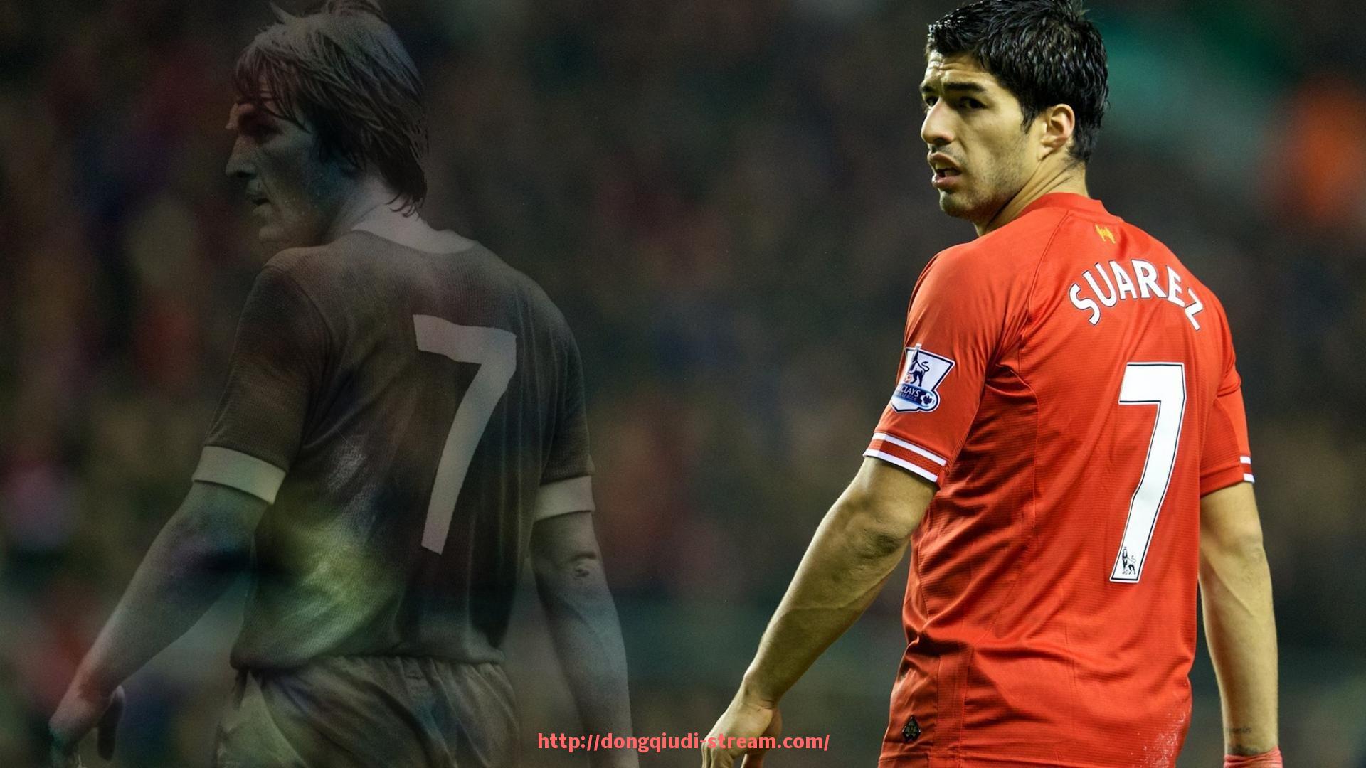 懂球帝直播-世俱杯赛事赞助活动策划方案设计及实施细节