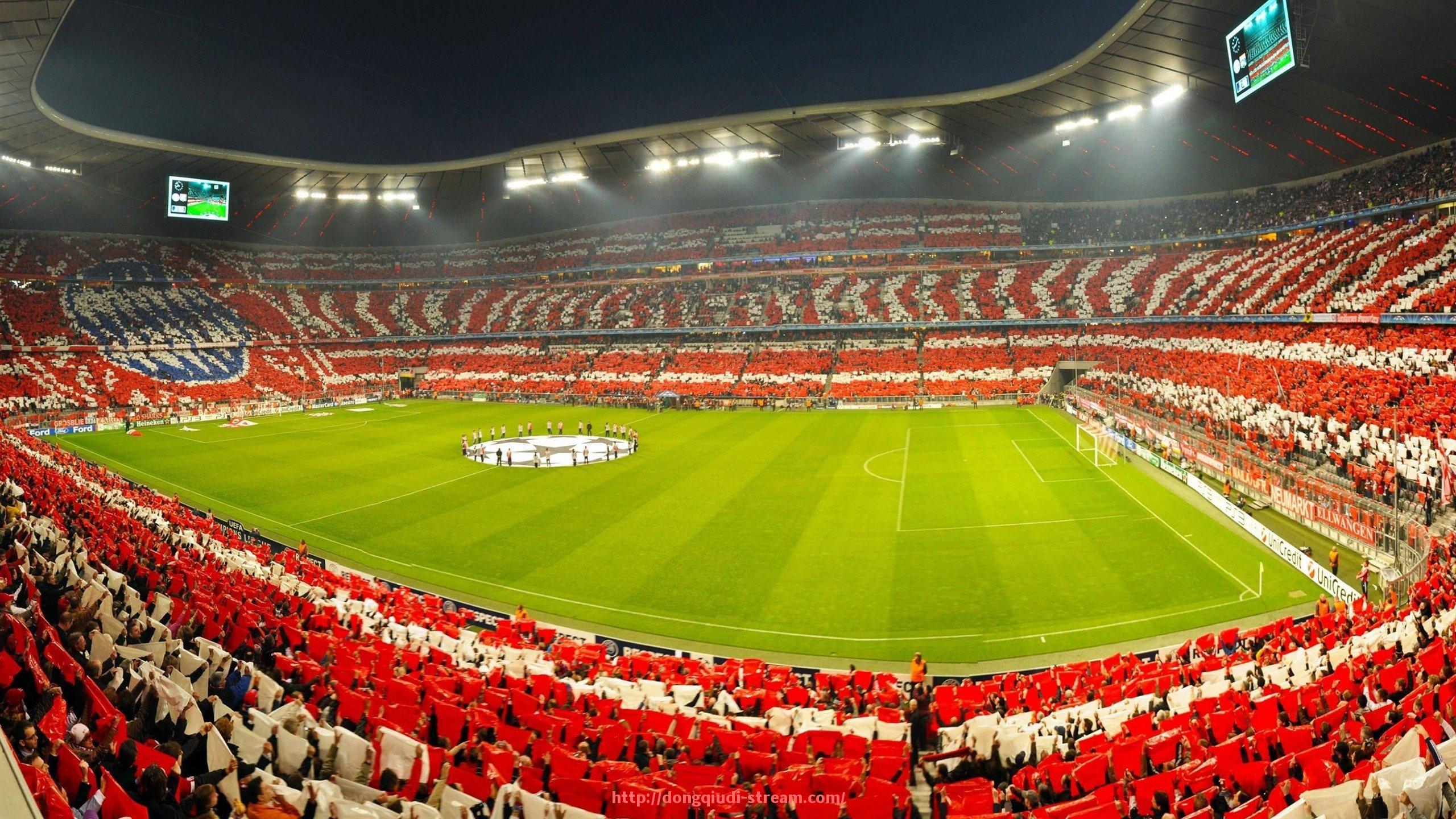 懂球帝直播-世俱杯赛场秩序维护措施