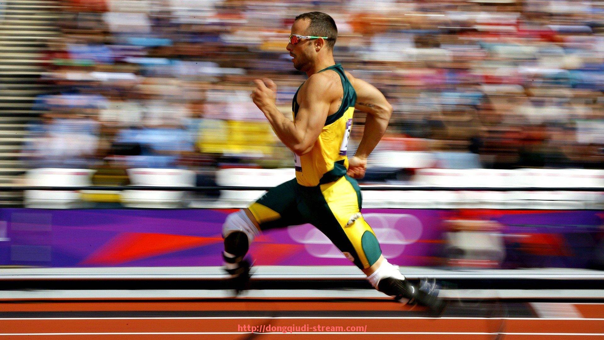 懂球帝直播-世俱杯赛场秩序维护措施